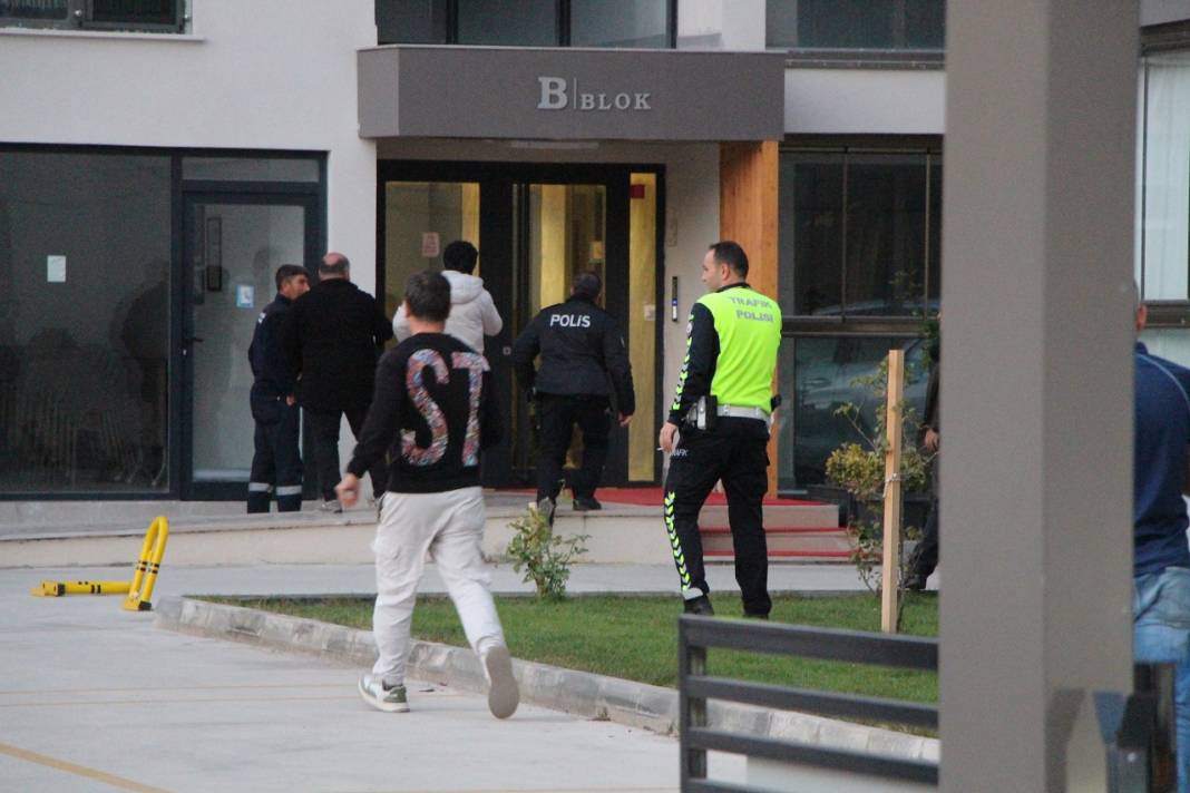 Sitenin içine yaban domuzu girdi! Polisler operasyon düzenledi 3